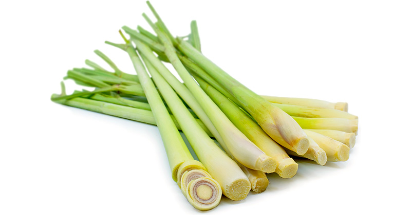 Na obrázku je citrónová tráva, ako jedna zo surovín, ktorá nám odpovedá na otázku čo vlastne jeme